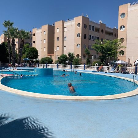 Tres Beau T4 Torrevieja Renove Et Moderne Lejlighed Eksteriør billede