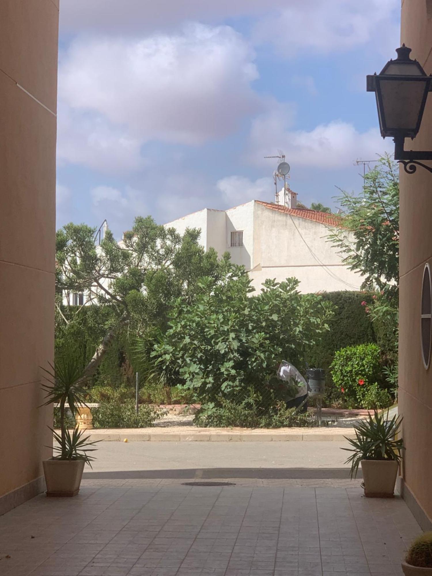 Tres Beau T4 Torrevieja Renove Et Moderne Lejlighed Eksteriør billede