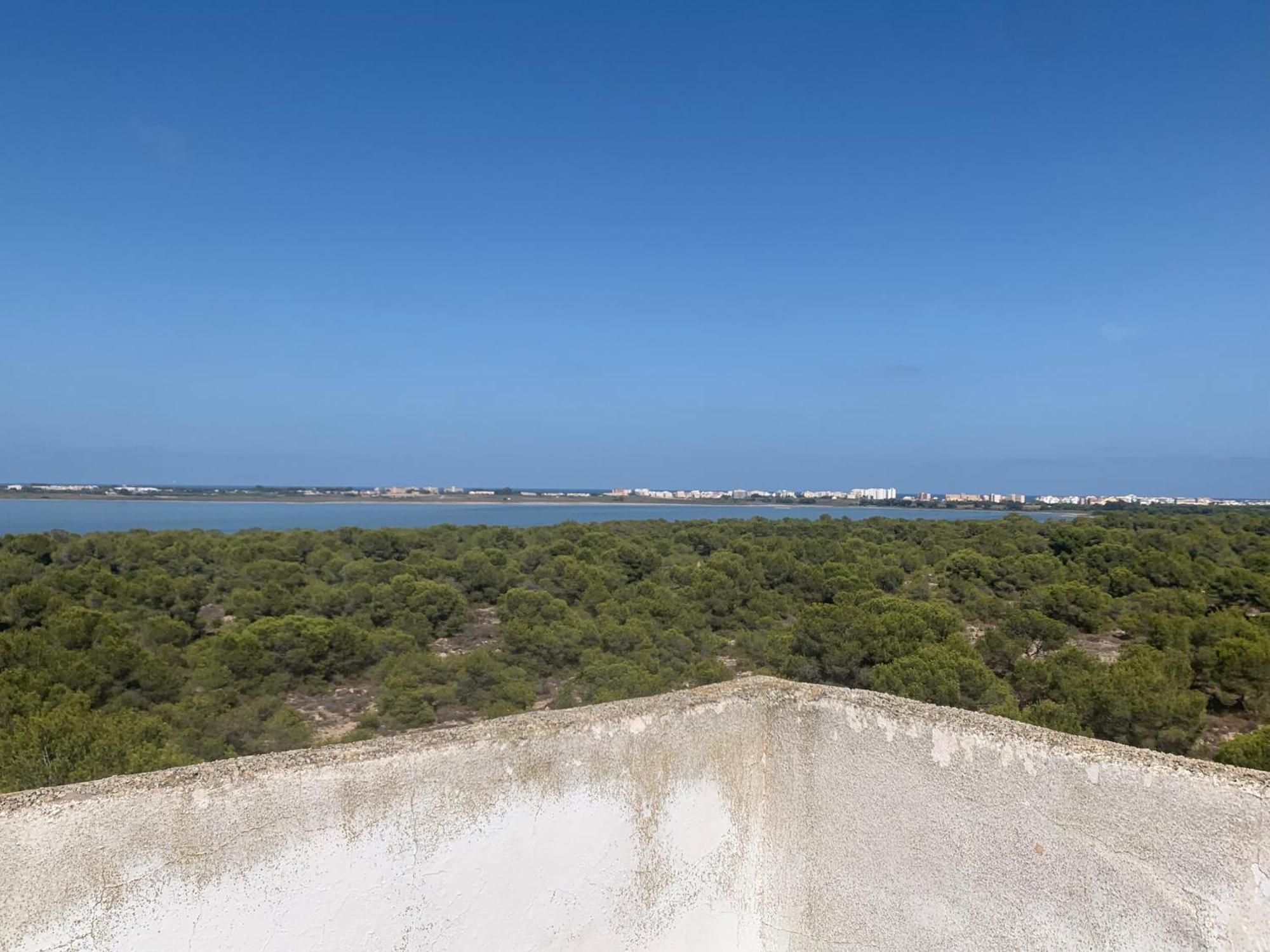 Tres Beau T4 Torrevieja Renove Et Moderne Lejlighed Eksteriør billede